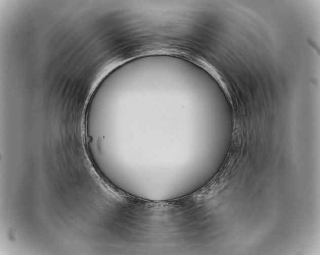 X0000096210811200802081500