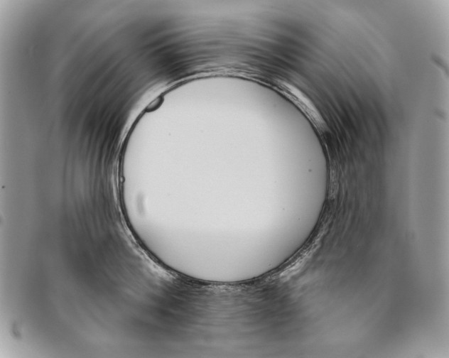 X0000096210812200802081500