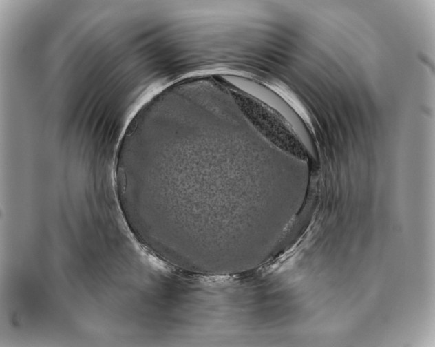 X0000096210813200802081500