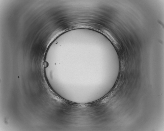 X0000096210814200802081500