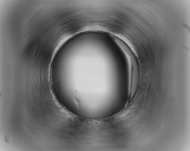 X0000096210815200802081500