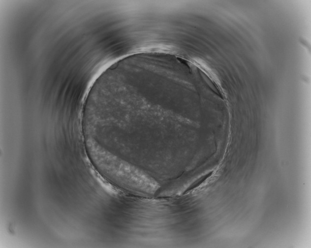 X0000096210816200802081500