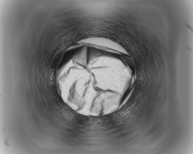 X0000096210818200802081500