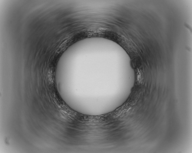 X0000096210819200802081500