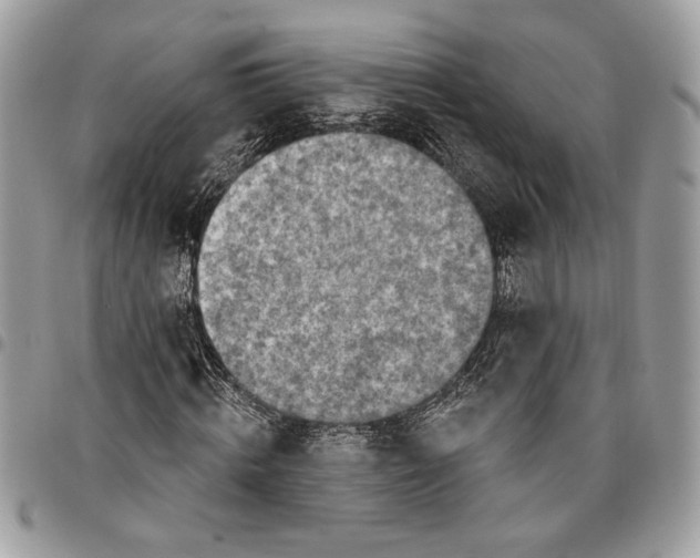 X0000096210820200802081500