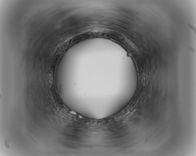 X0000096210821200802081500