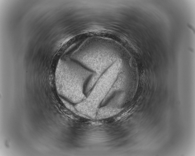 X0000096210822200802081500