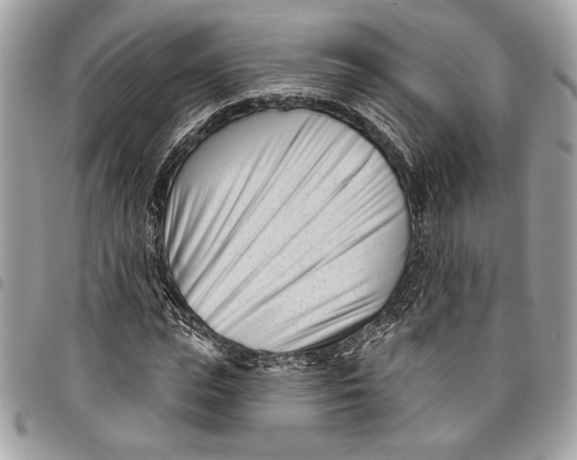 X0000096210823200802081500