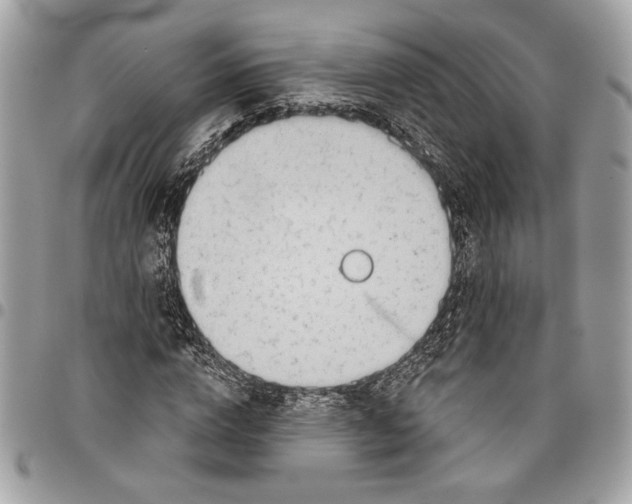 X0000096210824200802081500