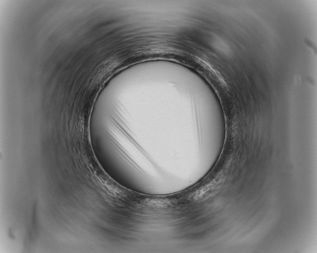 X0000096210825200802081500