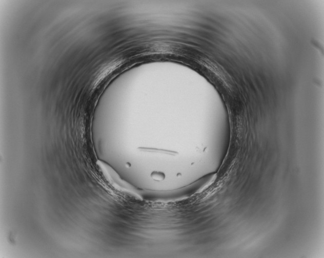 X0000096210826200802081500