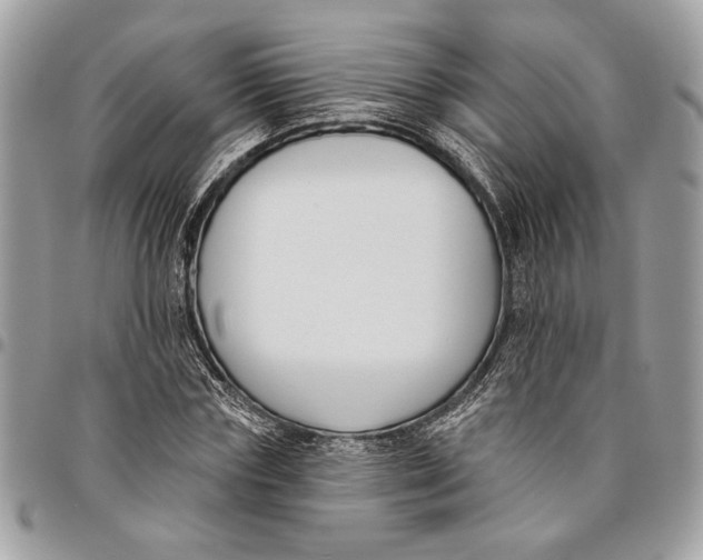 X0000096210827200802081500