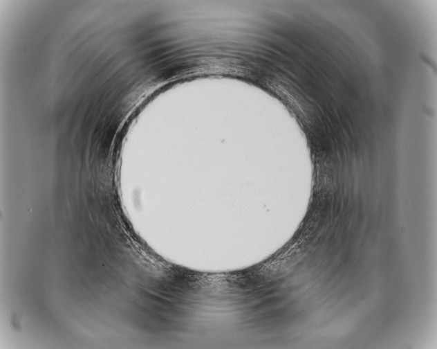 X0000096210828200802081500