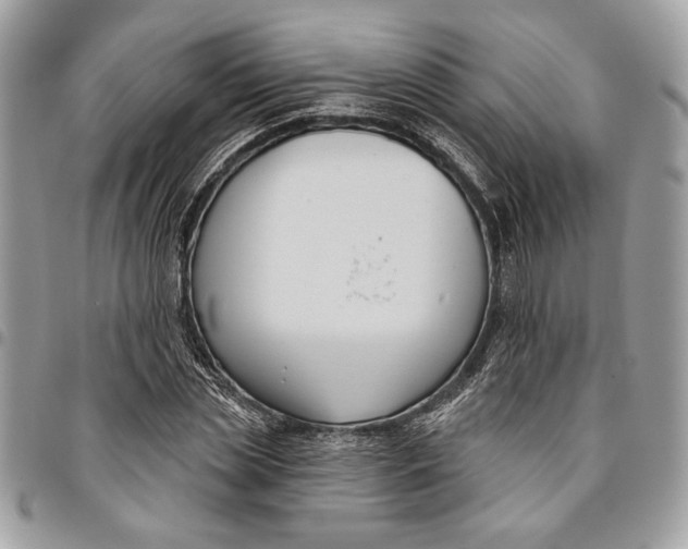 X0000096210829200802081500