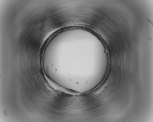 X0000096210830200802081500