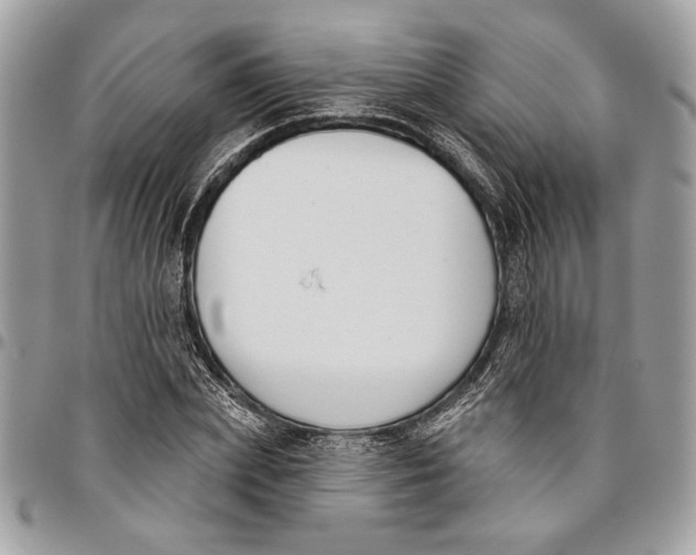 X0000096210831200802081500