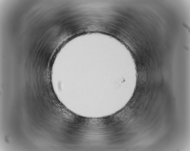 X0000096210832200802081500