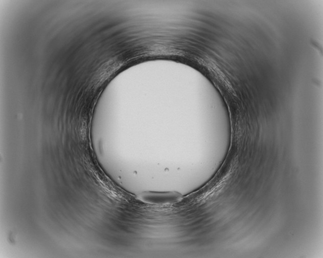 X0000096210833200802081500