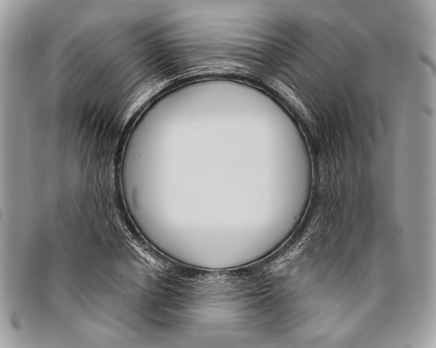 X0000096210834200802081500