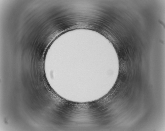 X0000096210836200802081500