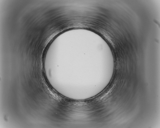 X0000096210837200802081500