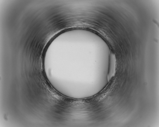 X0000096210838200802081500