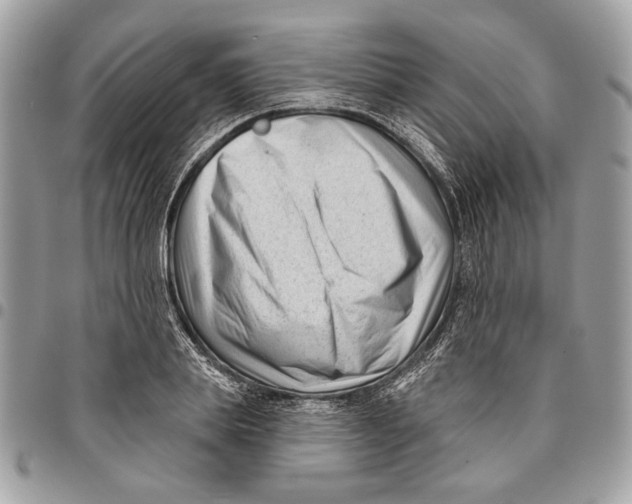 X0000096210839200802081500