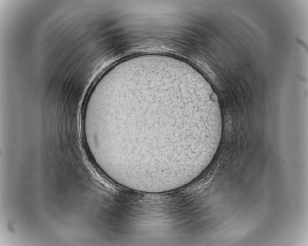 X0000096210840200802081500