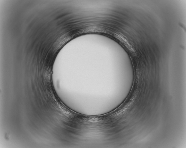 X0000096210841200802081500