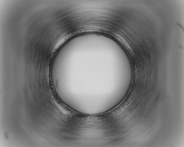 X0000096210842200802081500