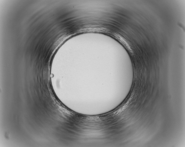 X0000096210844200802081500