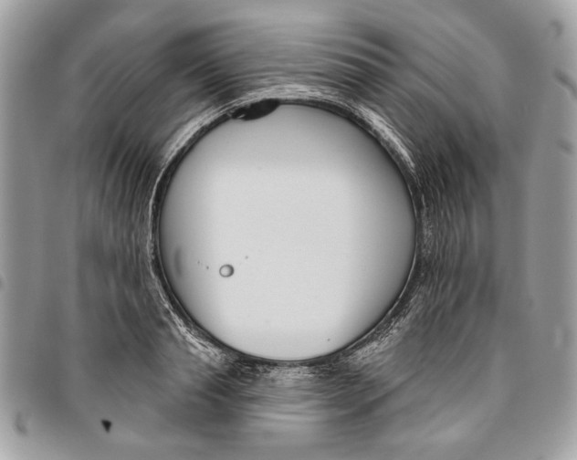 X0000096210845200802081500