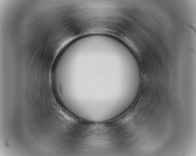 X0000096210846200802081500