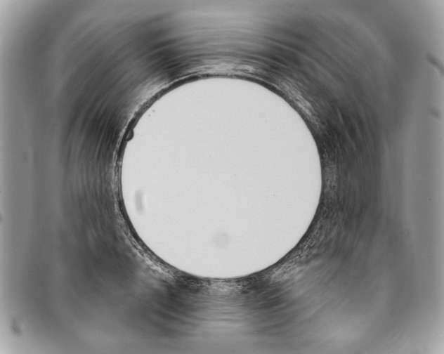 X0000096210848200802081500