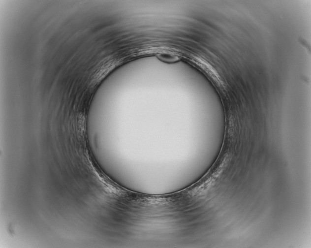 X0000096210849200802081500