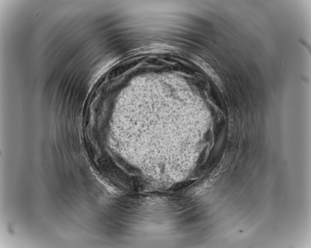 X0000096210850200802081500