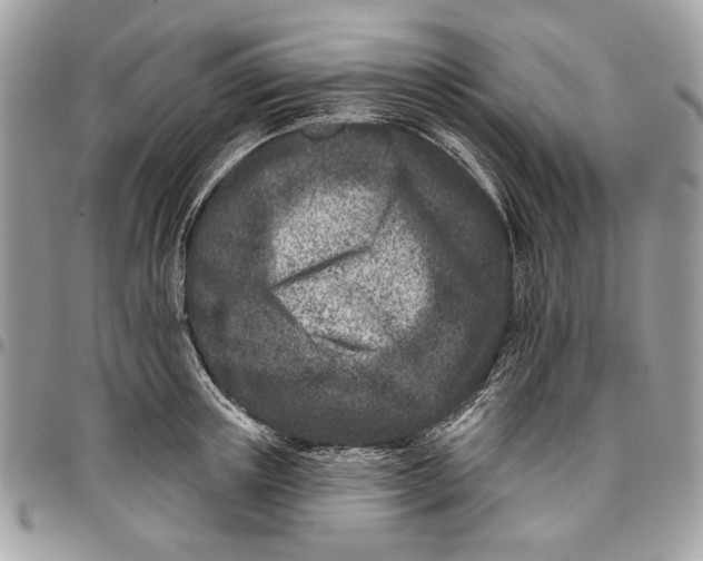 X0000096210851200802081500