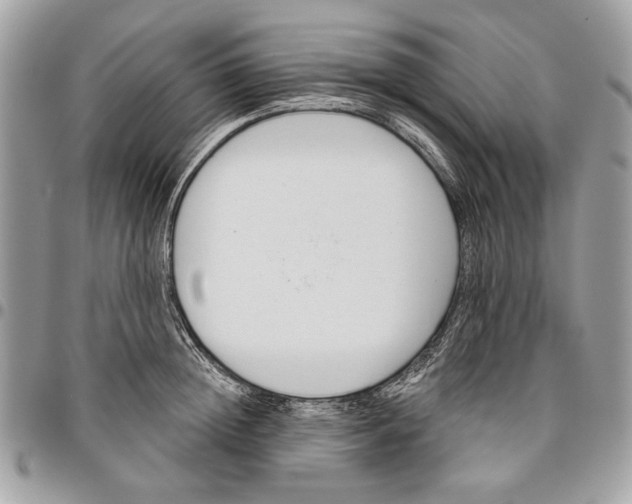 X0000096210852200802081500