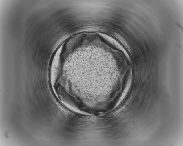 X0000096210853200802081500