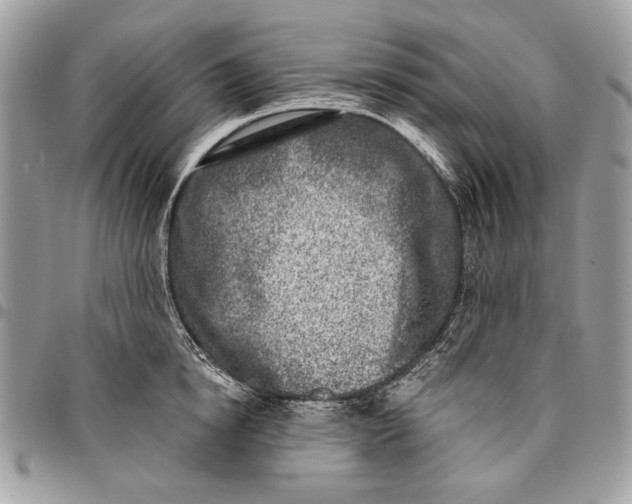 X0000096210854200802081500