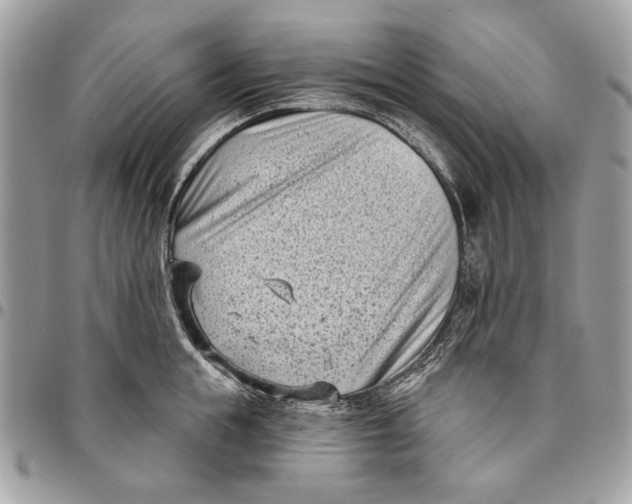 X0000096210855200802081500