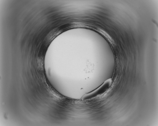 X0000096210857200802081500