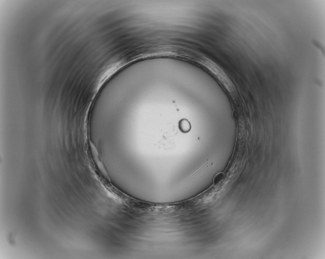 X0000096210858200802081500