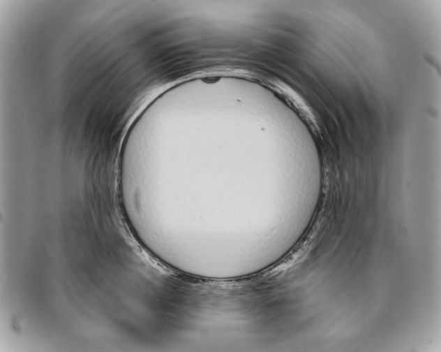 X0000096210860200802081500