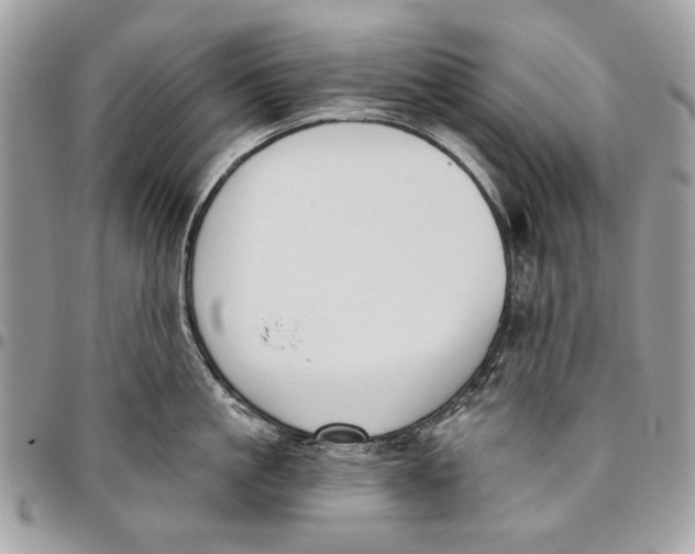 X0000096210861200802081500