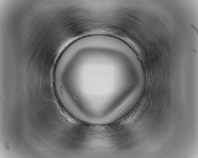 X0000096210862200802081500