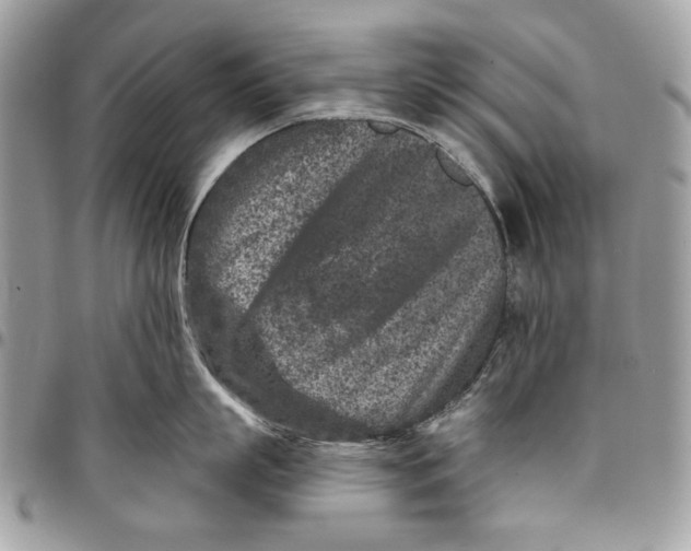 X0000096210863200802081500