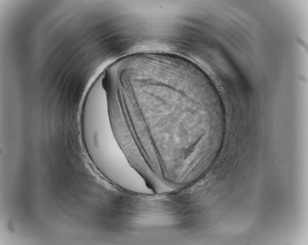 X0000096210864200802081500