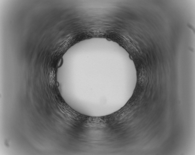 X0000096210866200802081500