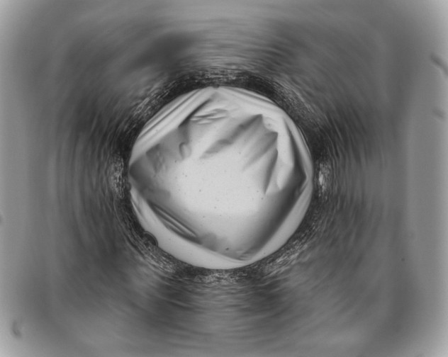 X0000096210867200802081500